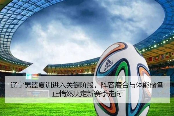 辽宁男篮夏训进入关键阶段，阵容磨合与体能储备正悄然决定新赛季走向